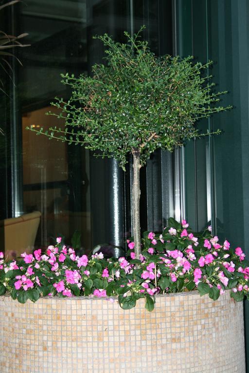 Hotel La Perla Roseto Degli Abruzzi Exterior foto